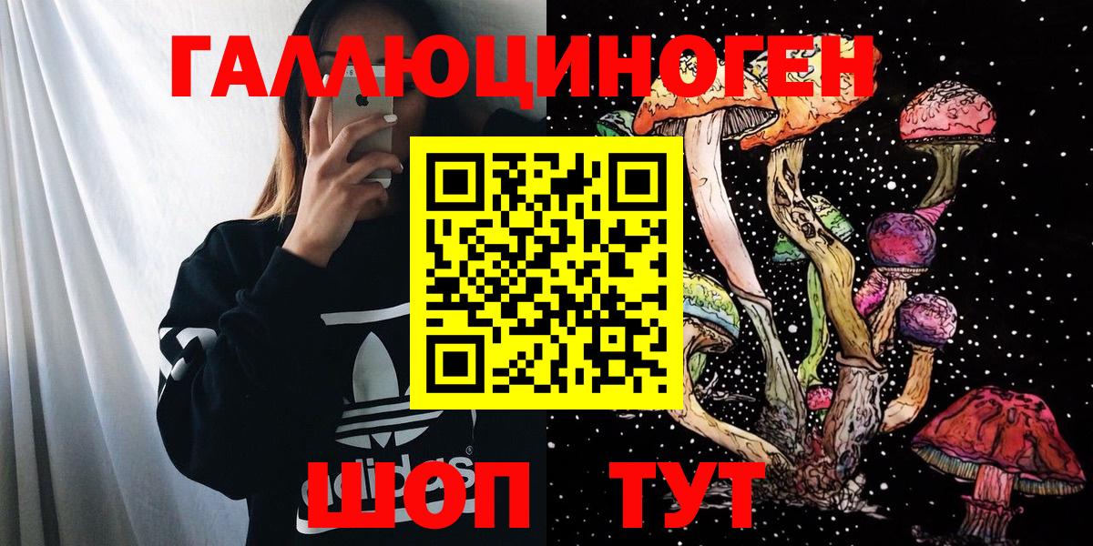 Галлюциногенные грибы Psilocybine cubensis  Вход с VPN  Киселёвск 